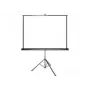Projektioverho Grandview GV103005