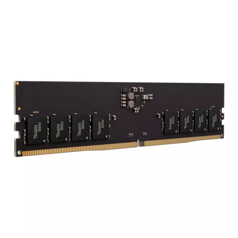 DIMM 16 GB DDR5-5600, keskusmuisti musta, TED516G5600C4601, Elite, INTEL XMP