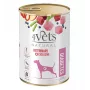 4VETS Natural Diabetes märkäruoka koirille, 400 g