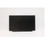Lenovo 02HL701 13,3 tuuman HD TN -LCD-paneeli, heijastamaton, 250 nitiä