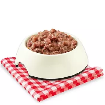 STUZZY Monoprotein Kitten Chicken - märkäruoka kissanpennuille - 85 g