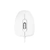 MODECOM M10 M-MC-0M10-200 hiiri (optinen, 1000 DPI, valkoinen) (M-MC-0M10-200)