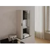 Seinäkaappi cama meble S2 SOHO 60x29x112 cm — cashmere/musta
