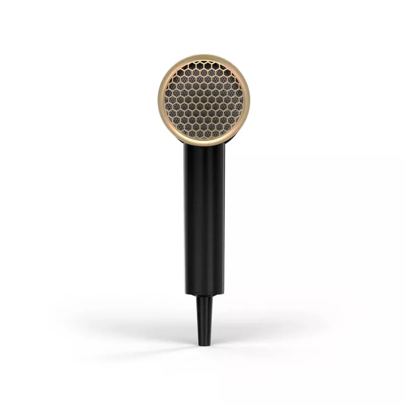 Wahl Ionic Flow hiustenkuivaaja 2100 W musta, kulta