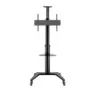 Teline Hagor BrackIT Single 165,1 cm (65
