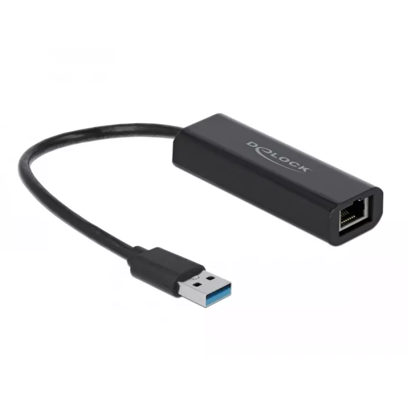 DeLOCK 66299 USB-A 2,5 Gigabit LAN -sovitin