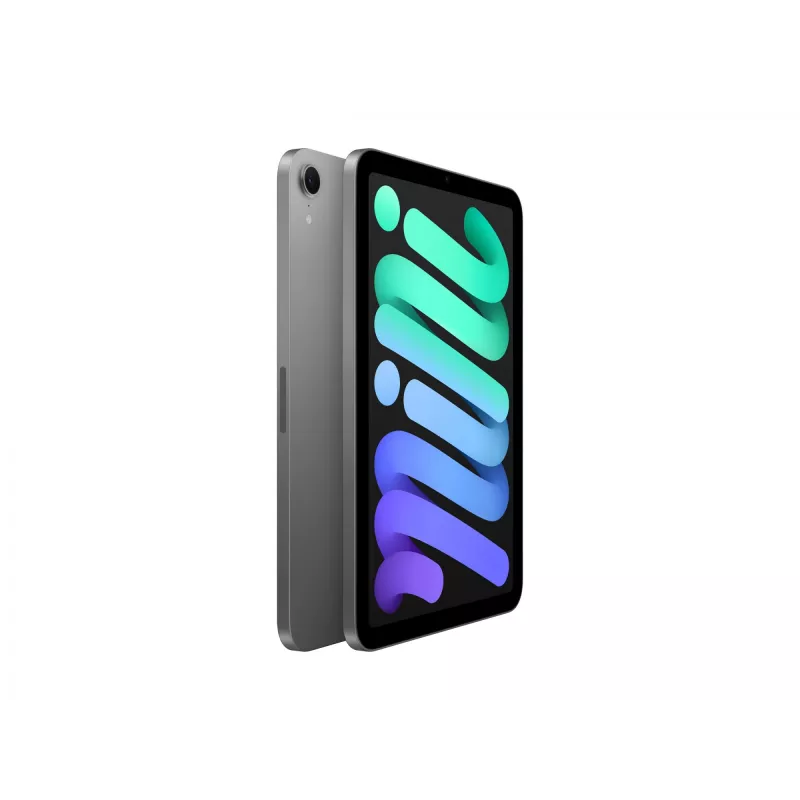 Apple iPad mini A17 Pro Wi-Fi - tabletti - 128GB - 21,1 cm (8,3) IPS (2266 x 1488) - Space Grey (MXN63NF/A)