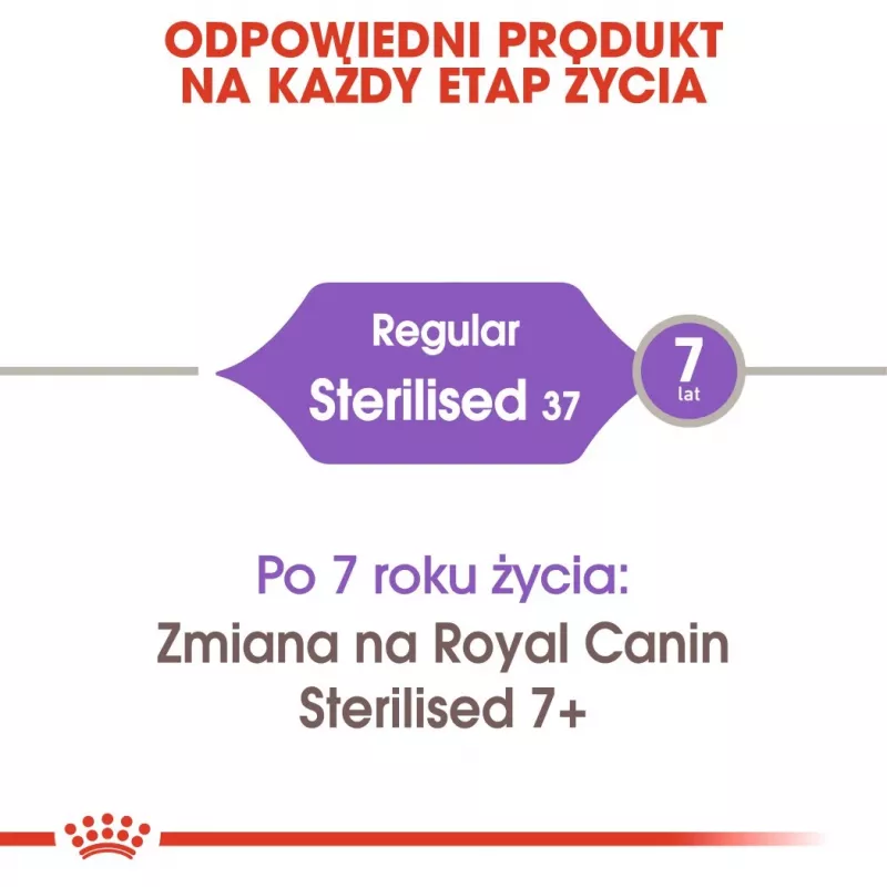 ROYAL CANIN Sterilised 37 - kuivaruoka kissoille - 10 kg