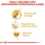 Royal Canin Sphynx Adult kuiva kissanruoka, 2 kg