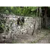 vesiletku Karcher Plus 1/2- 50M