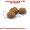 ROYAL CANIN Sterilised 37 - kuivaruoka kissoille - 10 kg