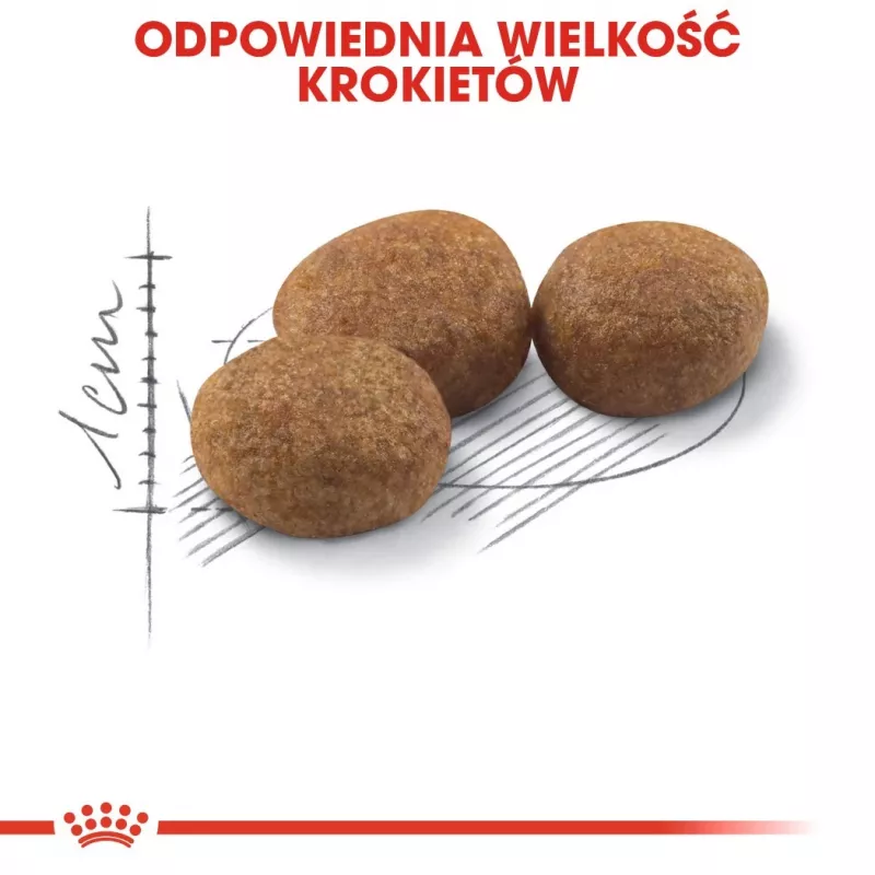ROYAL CANIN Sterilised 37 - kuivaruoka kissoille - 10 kg