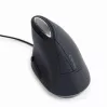 Hiiri Gembird MUS-ERGO-03 USB Type-A optinen oikeakätinen