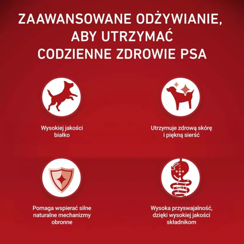 PURINA ONE MINI Dog Sensitive Salmon & Rice 1,5kg