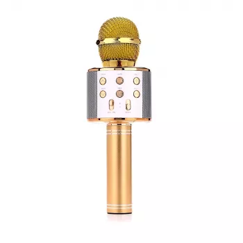 Mikrofoni MANTA MIC10-G kulta herttakuvio kannettava — kondensaattori herttakuvio, käsidesign