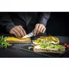 Zwilling TANREI 10 cm neulaveitsi ja koristeluveitsi