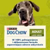 Purina DOG CHOW Large Breed Adult 14 kg kalkkuna