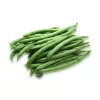Nomad Green Dwarf papusiemenet, 50g - vihannessiemenet