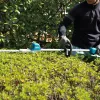 Makita DUN600L kaksiteräinen 3,4 kg