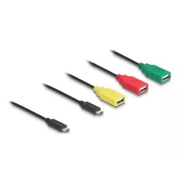 DeLOCK 4-porttinen USB 2.0 -kaapelikeskitin USB Type-C - 3 x USB-A liitäntä + 1 x USB-C pistoke