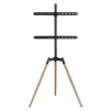TV-lisävaruste lattialle 32-65/TRIPOD TVS-65S-01 Gembird