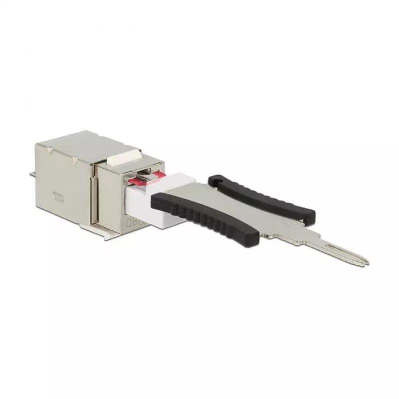 Delock 86404 Keystone-moduuli RJ45 Secure Cat.6 - LSA, valkoinen