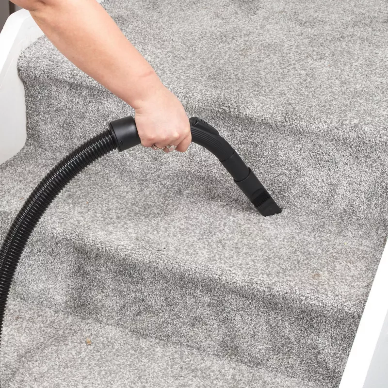 Pölynimuri Beldray BEL01797VDE VorteXL Pro