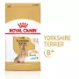 Kuivaruoka koirille Royal Canin Yorkshire Terrier 8+ 3 kg — siipikarja, vanhemmille yorkshirenterriereille, proteiini 29 %, rasva 18 %