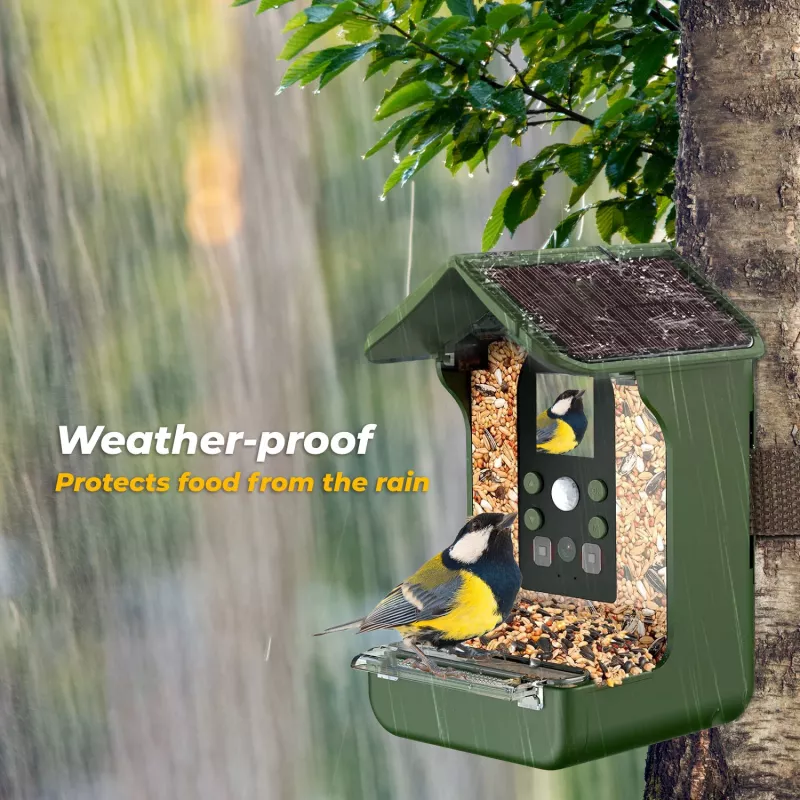 EASYPIX Bird Camera Easypix Bird Cam 10123 1080p HD yönäkö