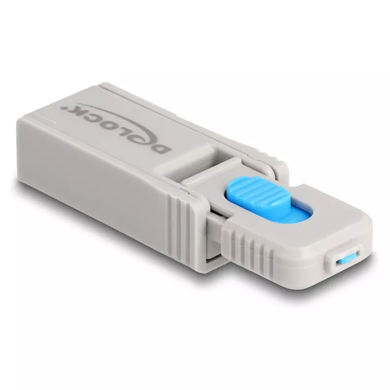 DeLOCK 20969 porttilukko DisplayPort HDMI USB Type-A USB Type-C harmaa