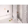 DIGITUS® 7HE seinäkotelo - harmaa, RAL 7035 - 48,3 cm (19