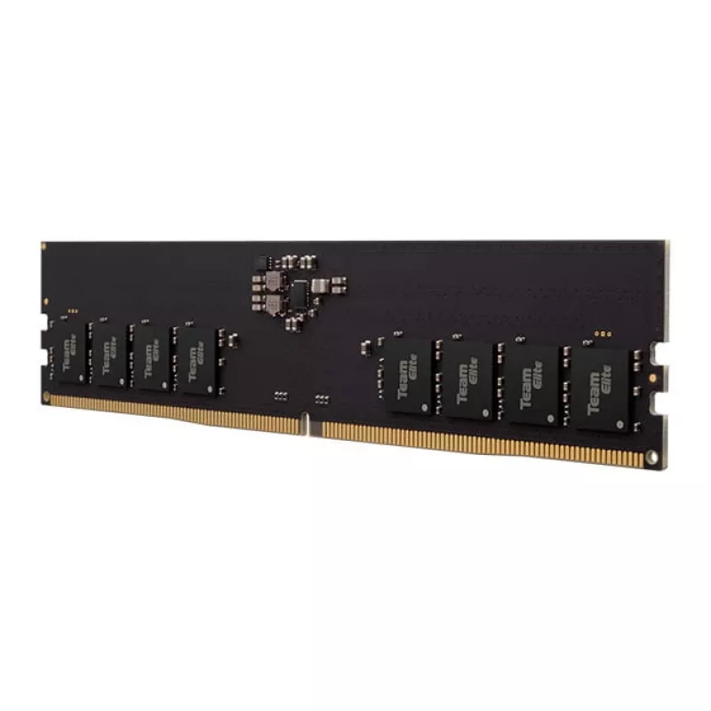 DIMM 16 GB DDR5-5600, keskusmuisti musta, TED516G5600C4601, Elite, INTEL XMP