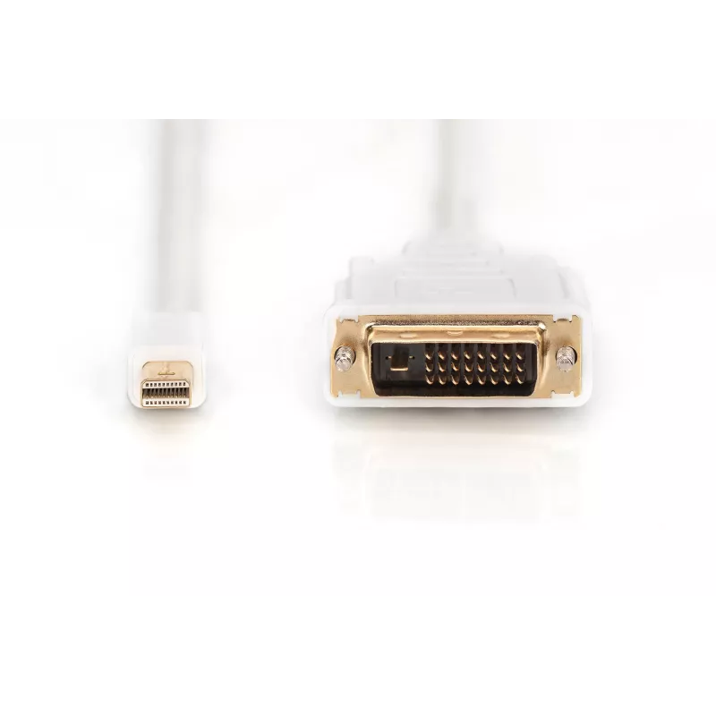 Kaapeli DisplayPort 1.1a Mini DP-DVI tyyppi A MM 2,0 m