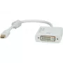 Videokaapeliadapteri ROLINE 12.03.3137 Mini DisplayPort - DVI-D 0,1 m