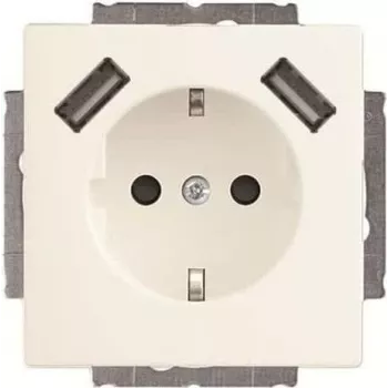 Busch-Jaeger SCHUKO-2x USB pistorasia 20 EUCB2USB-884 (2CKA002011A6277)