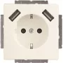 Busch-Jaeger SCHUKO-2x USB pistorasia 20 EUCB2USB-884 (2CKA002011A6277)