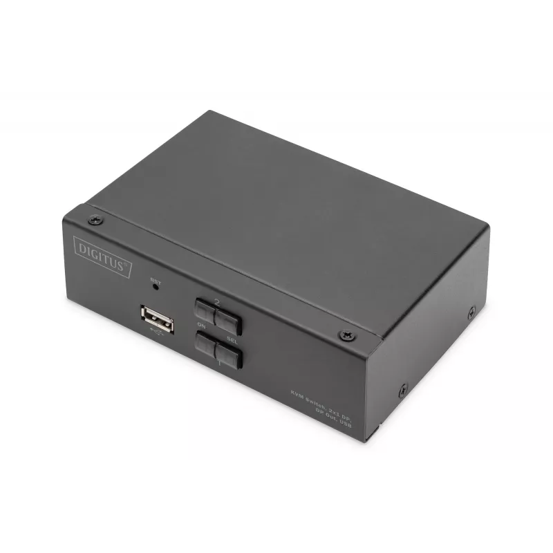 KVM-kytkin, 2x1 DS-12851