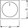 Busch-Jaeger 2CKA006599A2953 valkoinen