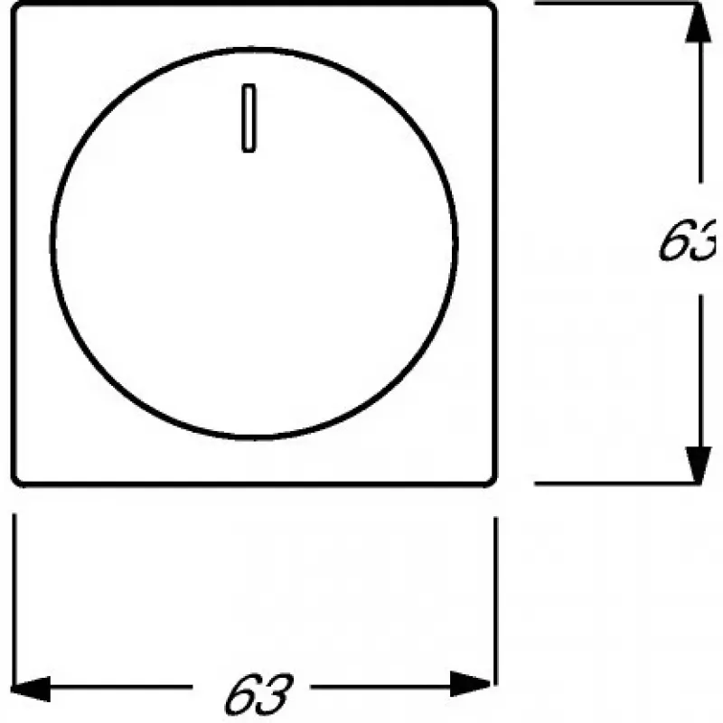 Busch-Jaeger 2CKA006599A2953 valkoinen