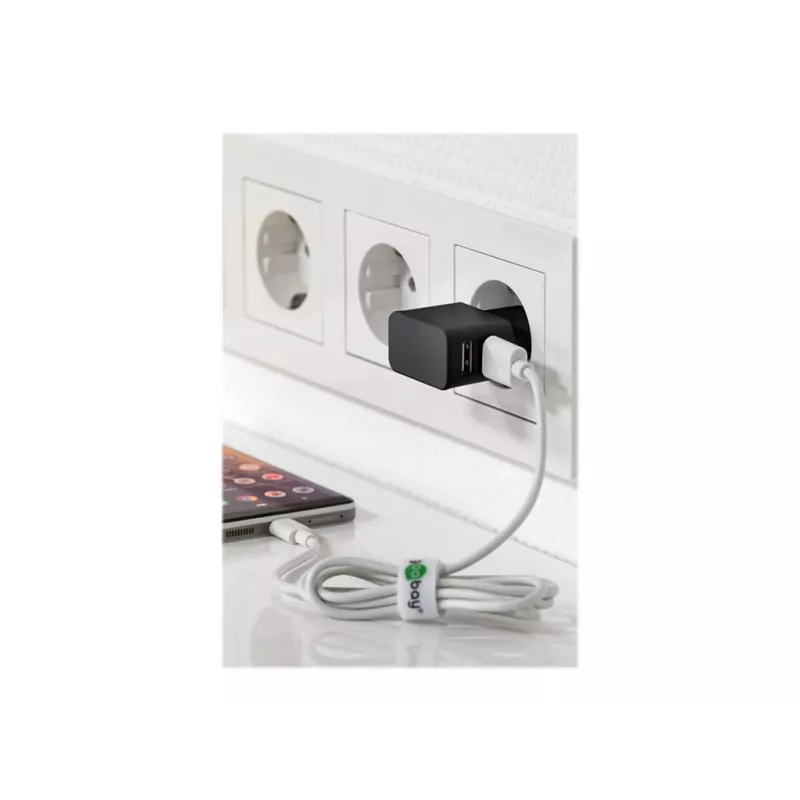 Wentronic goobay dual-USB-laturi - virtalähde - 12 wattia - 2,4 A - 2 lähtöliitäntää (USB) - musta (44951)
