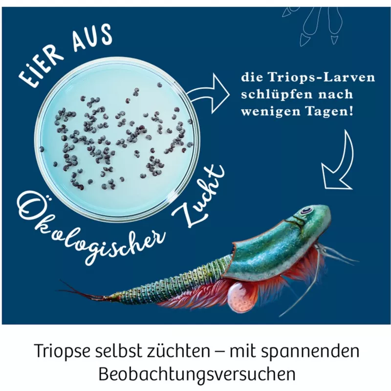 Kosmos 633073 Triops World kokeilupakkaus