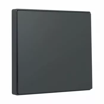 Keinupainike Gira System 55 antrasiitti 329628 modulaarisiin kehyksiin