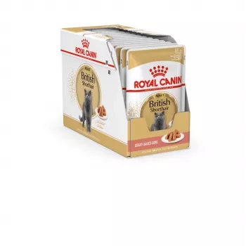 Märkäruoka kissoille Royal Canin British Shorthair Adult pussi 85 g, siipikarja, ROYAL CANIN Feline Breed Nutrition