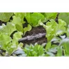 Liitoskappale Gardena 13206-20 tippukastelujärjestelmään muovi