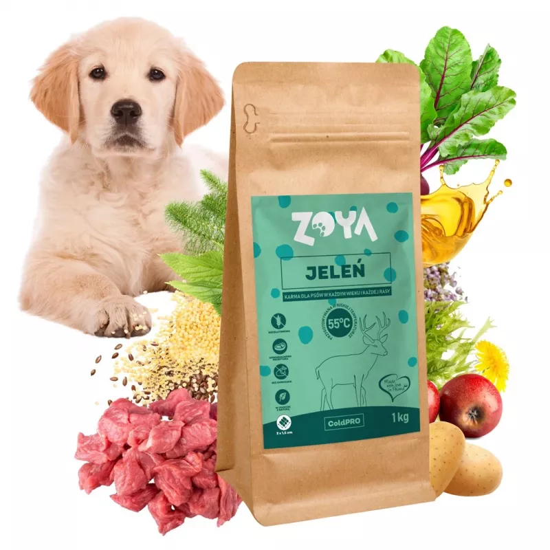 ZOYA ColdPRO hirvi - kuivaruoka koirille - 1 kg