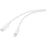 Renkforce USB-kaapeli USB 2.0 USB-C -pistoke Apple Lightning -pistoke valkoinen (RF-6857550)