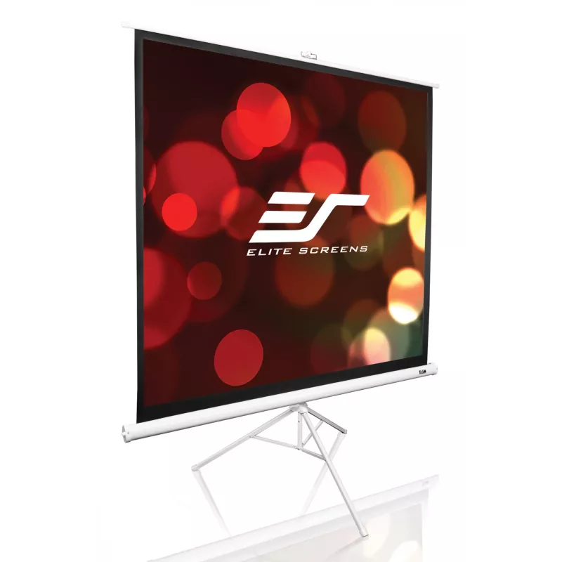 Jalustallinen projektiokangas Elite Screens T113NWS1 2,87 m 1:1