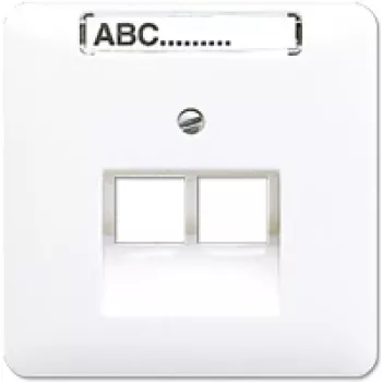 Seinäpistorasia RJ-45 Jung CD 569-2 NAUA WW — valkoinen
