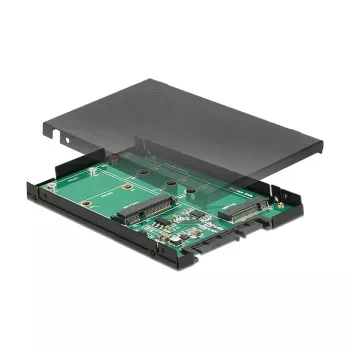 Liitäntäkortti DeLOCK 62866 sisäinen M.2 mSATA
