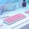 Glorious PC Gaming Race GMMK ABS Doubleshot V2 UK -perussarja - pinkki (GLO-KC-ABS-UKKIT-P)
